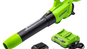 Greenworks leaf blower