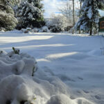 Winter snow in the yard