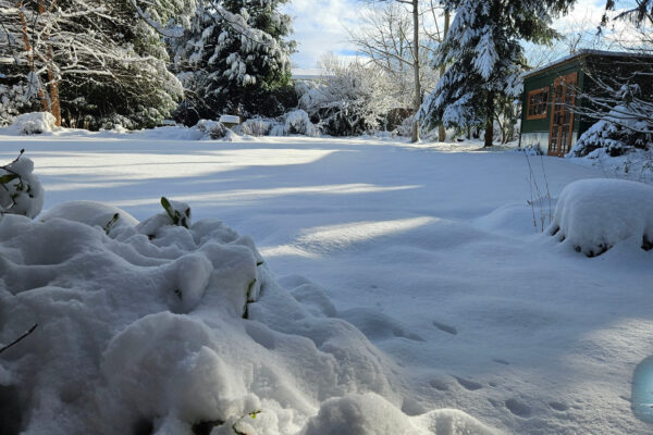 Winter snow in the yard