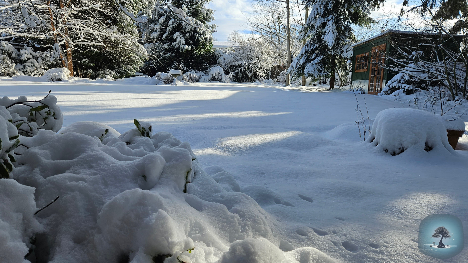 Winter snow in the yard